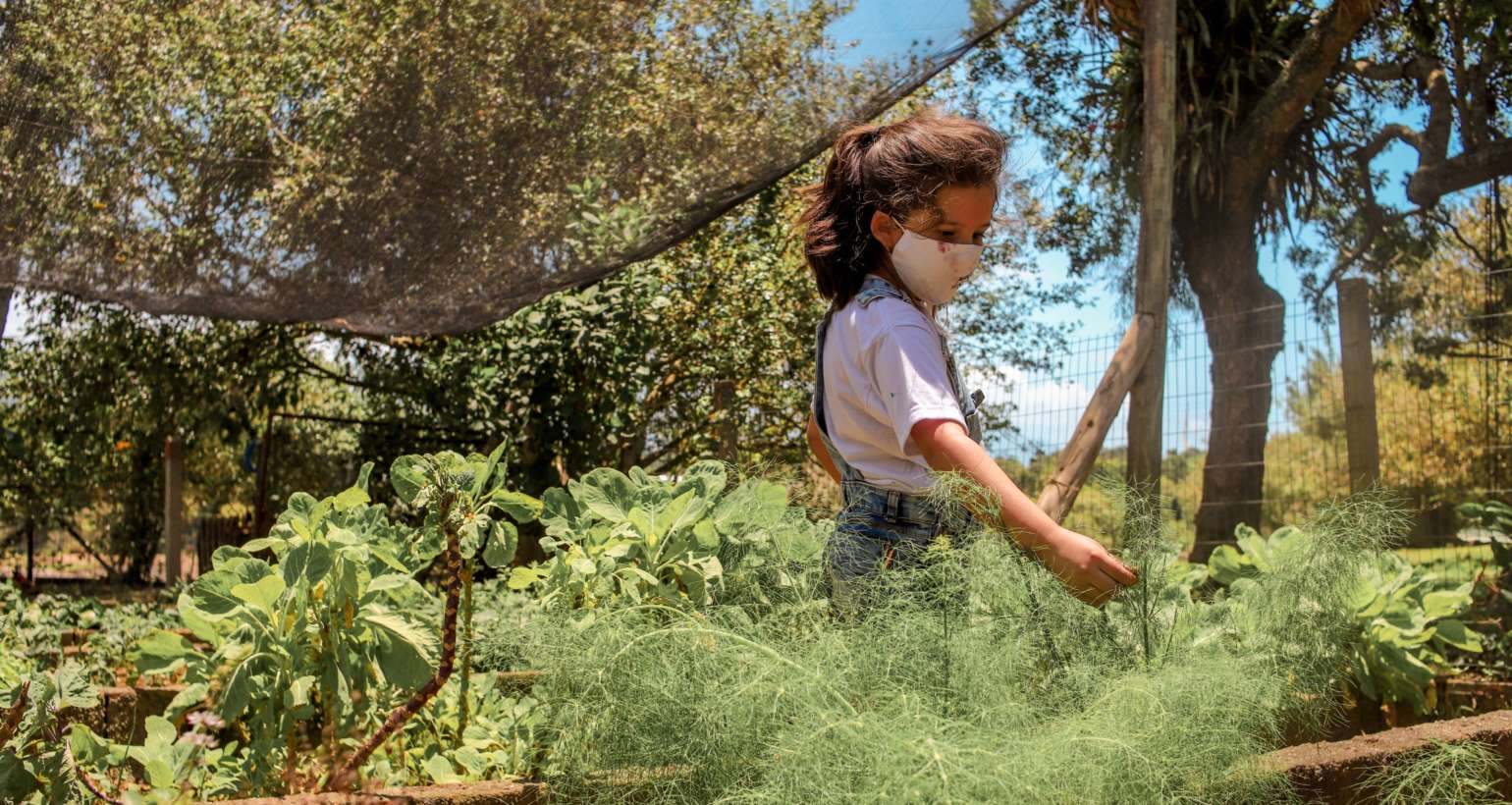 Reflexões sobre crianças e a natureza: vamos desemparedar?